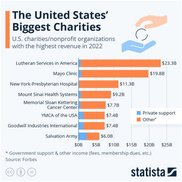 Are donations considered revenue for nonprofits?
