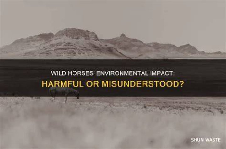 Are horses bad for the environment?