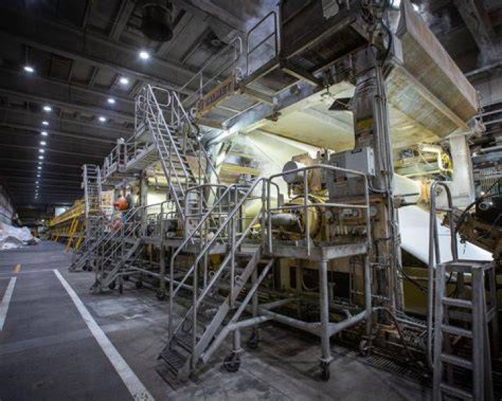 Are paper mills toxic to humans?
