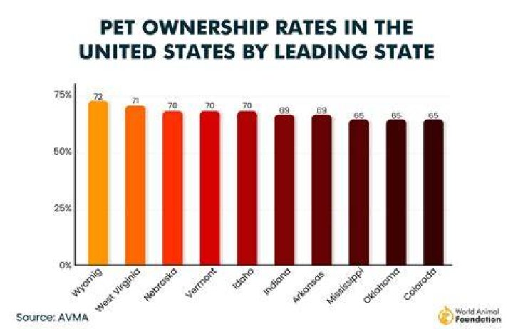 Are pet owners more successful?