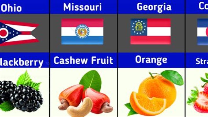 Are there state fruits?