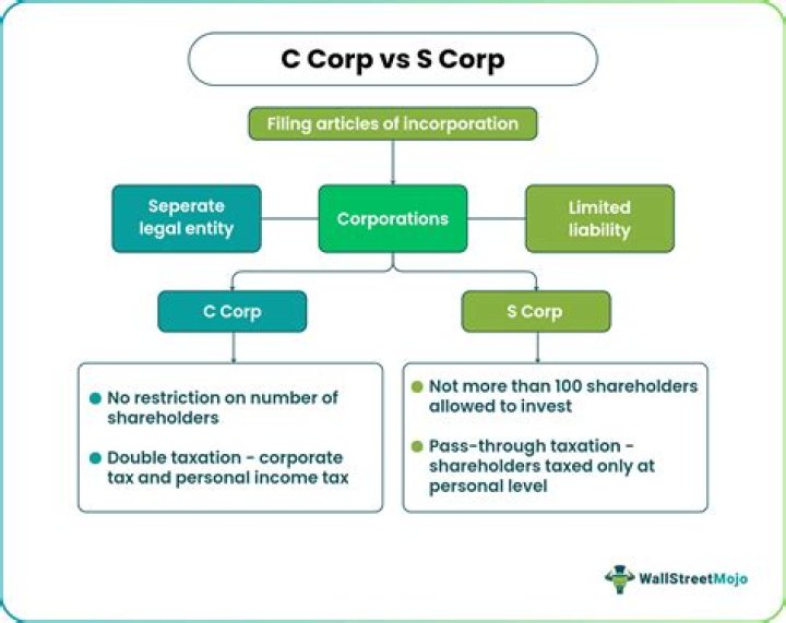 Can an S corp own stock in a foreign company?