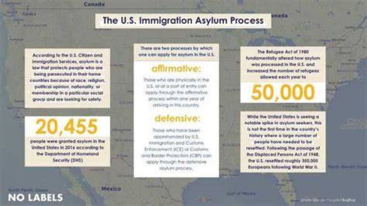 Can someone seek political asylum in the United States?