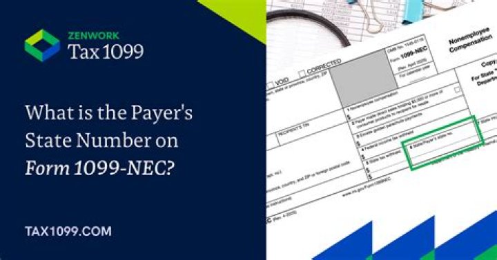 Do I need to send a 1099-NEC to an S Corp?