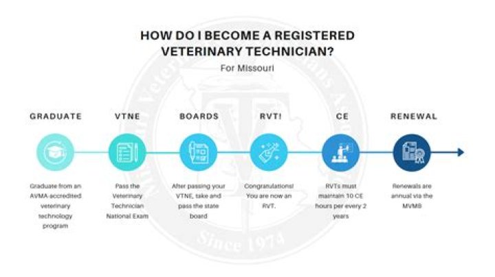 Do you need a license to be a vet tech in Georgia?