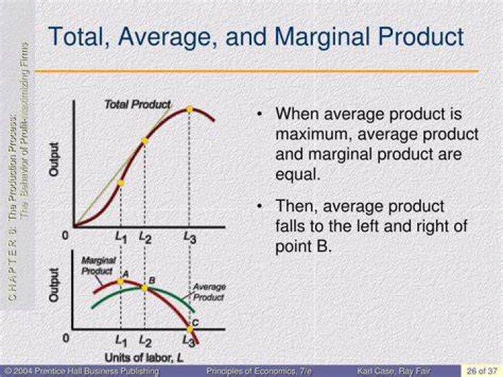 Does average product rise as total product rises?