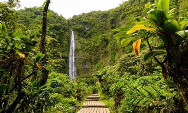 Does Hawaii have a spa?