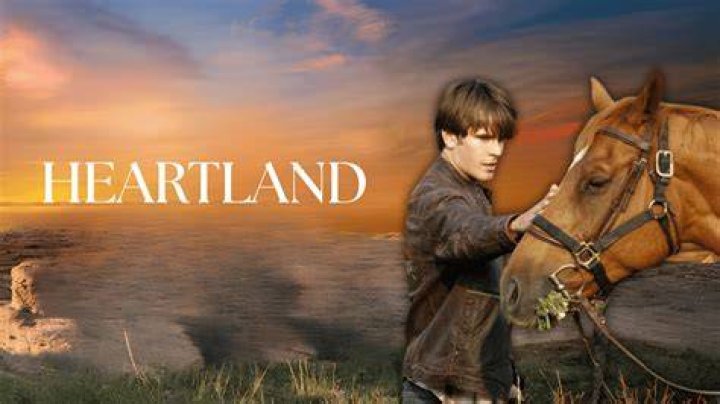 Does Ty die in the Heartland books?