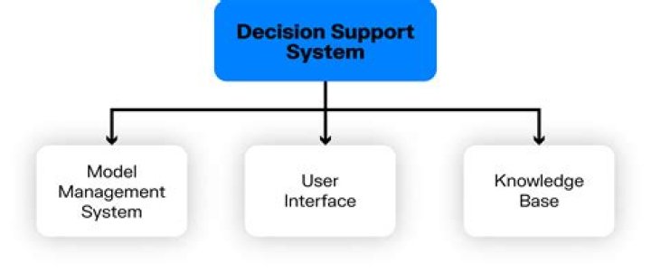How can companies benefit from using decision support system?