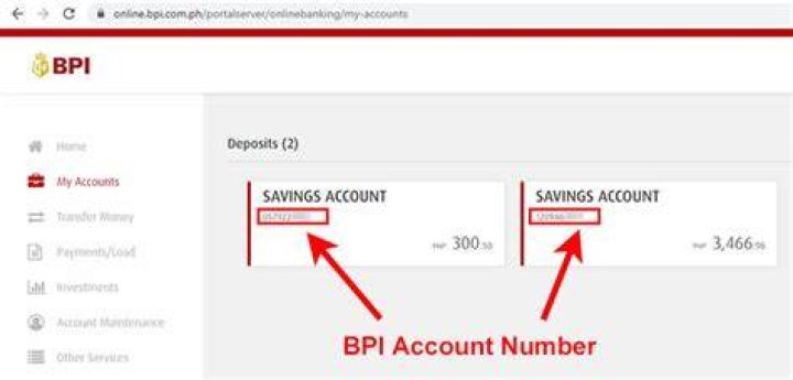 How can I check my BPI Family account online?