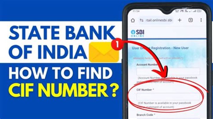 How can I know my SBI DD number?