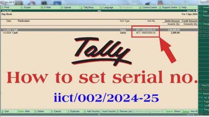 How can I know my tally serial number?