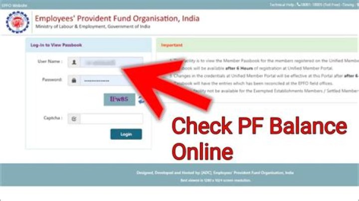 How can I see my PF balance?