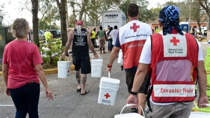 How can I work for the Red Cross?