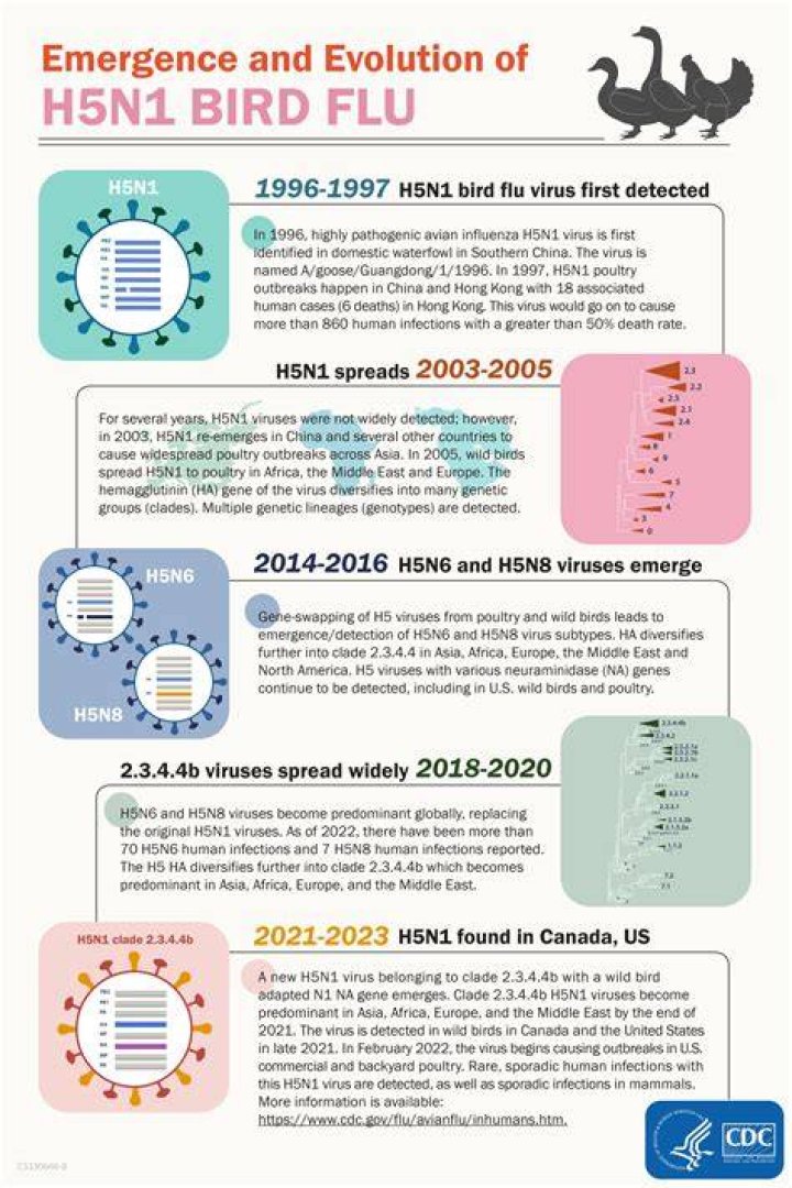 How did Hong Kong stop the H5N1 flu virus?