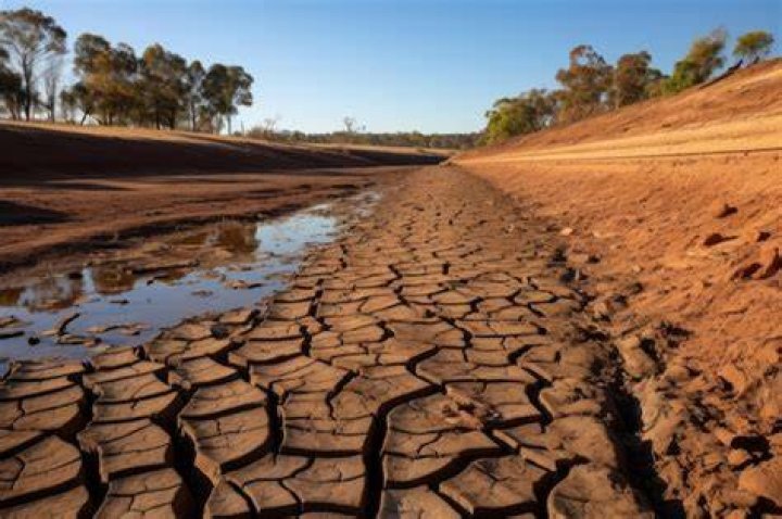 How did the government respond to drought?