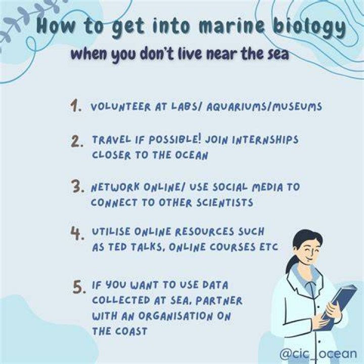 How do I get into marine biology?
