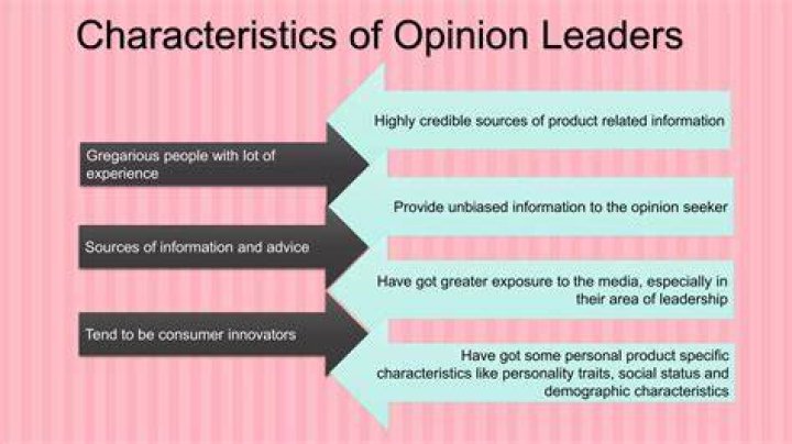 How do opinion leaders influence consumer Behaviour?