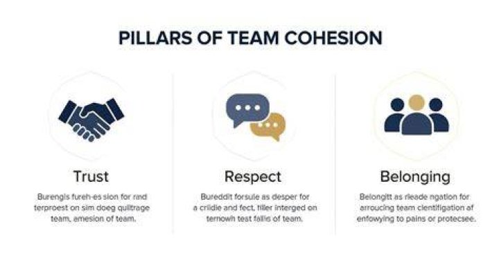 How do you build team cohesion?