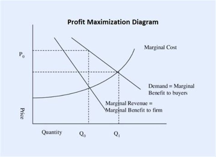 How do you explain profit maximization?