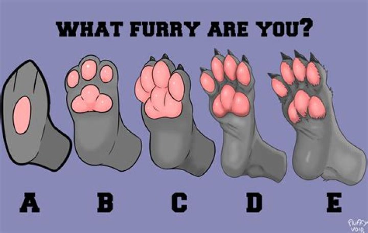 How do you get money in furry paws?