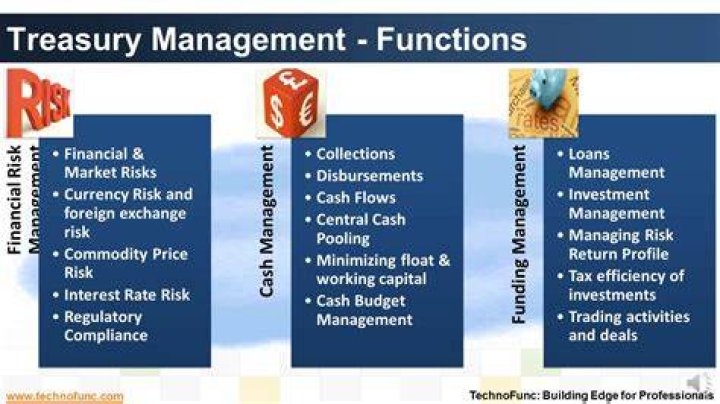 How do you manage treasury functions?
