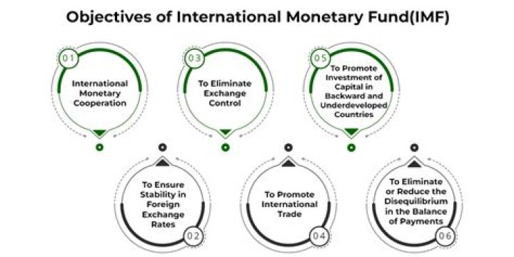 How does the IMF affect international business?