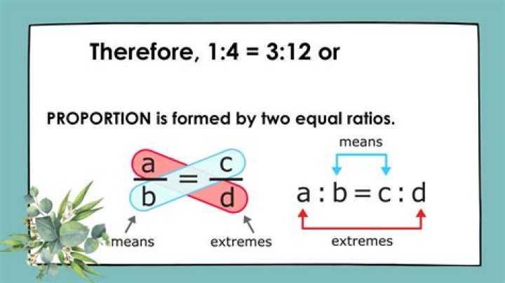 How is a proportion formed?