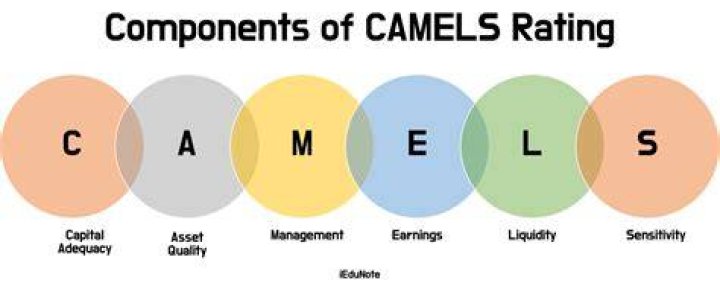 How is camel rating calculated?