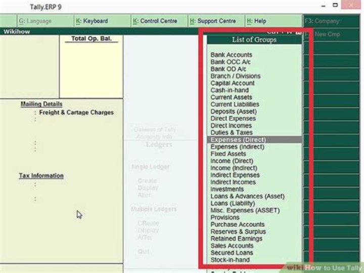 How is tally used in accounting?