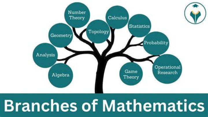 How many branches of HBL have?