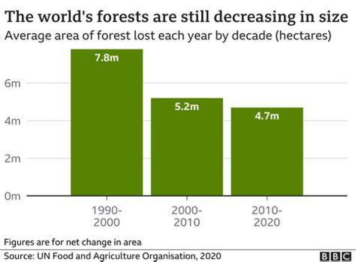 How many hectares of forest are destroyed each year 2020?