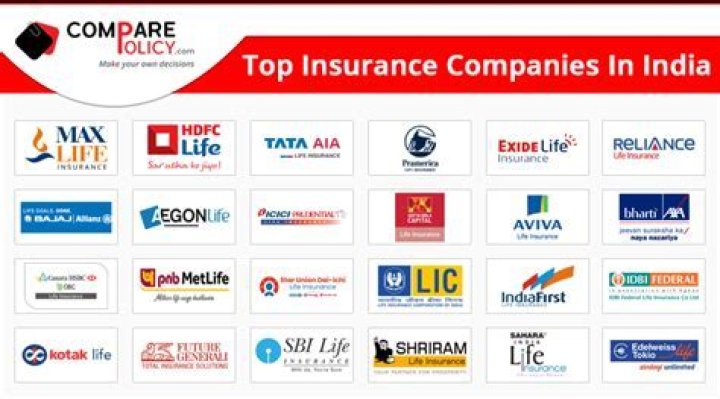 How many insurance companies are there in Cambodia?