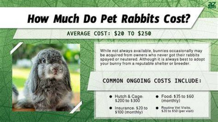 How much do you pay at the Bunny Ranch?