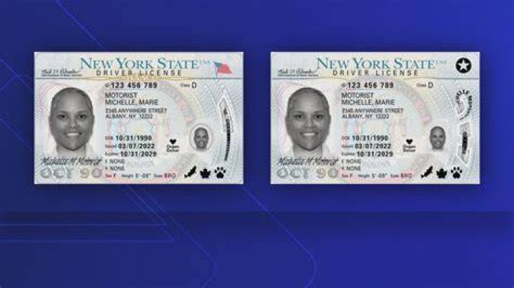 How much is a NY state ID?