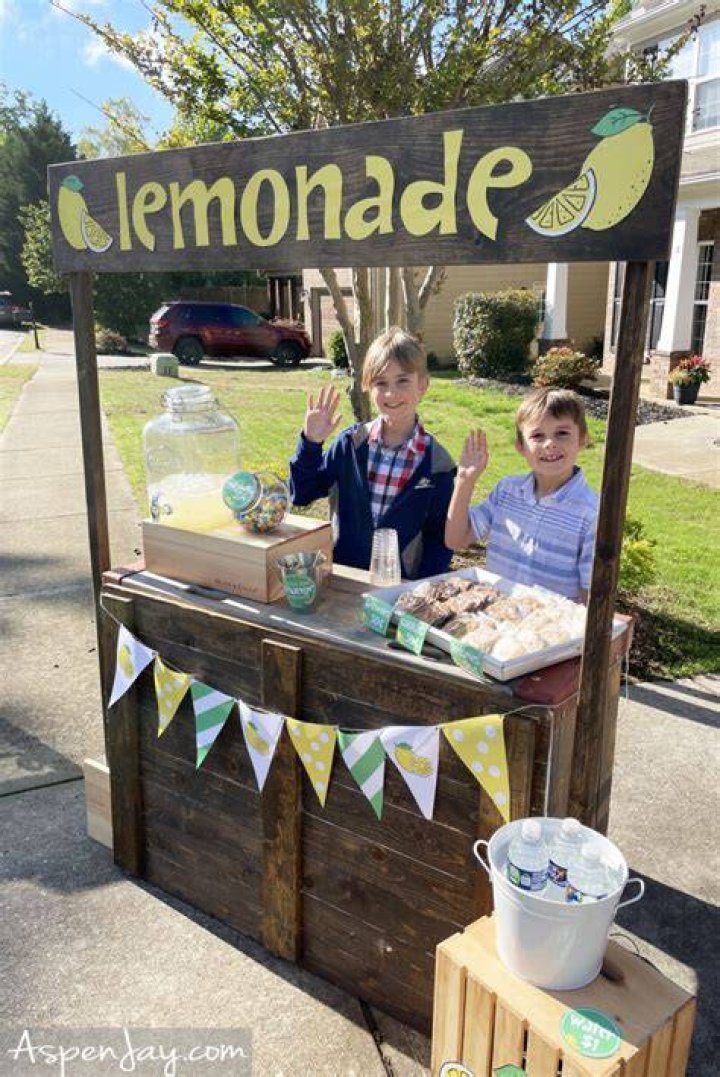 How much money can you make doing a lemonade stand?