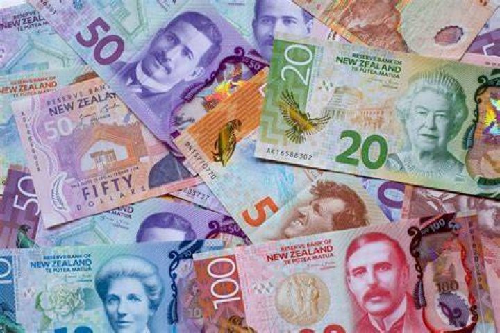 How much money does New Zealand make a year?