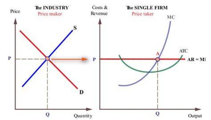 In which market single firm Cannot influence the price?