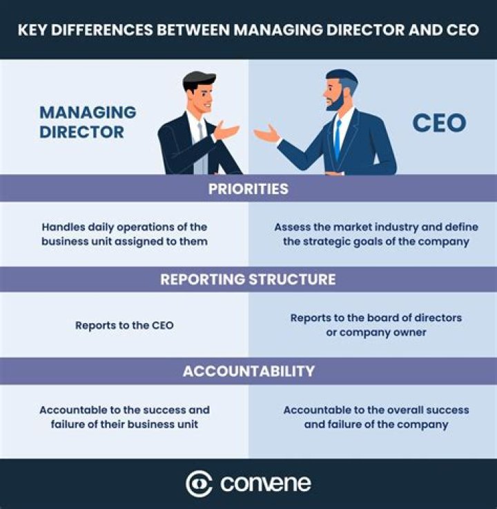 Is a CEO a director?