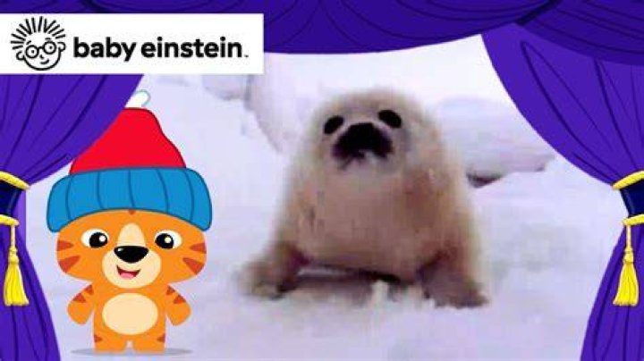 Is Baby Einstein still alive?