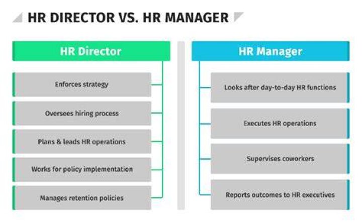 Is head higher than director?