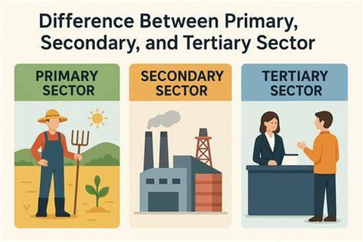 Is primary secondary or tertiary sector?