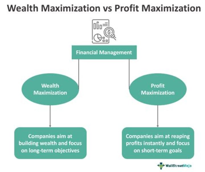 Is the shareholder wealth maximization goal a short term or long term goal?
