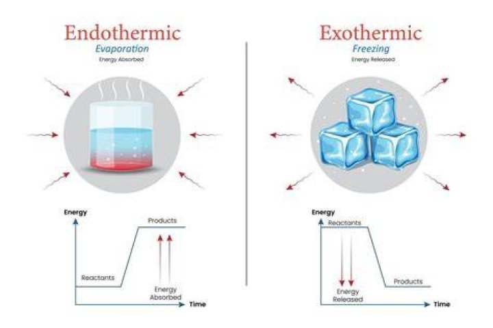 Is water exothermic or endothermic?