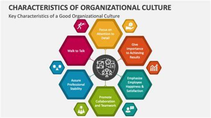 What are 3 characteristics of organizational culture?