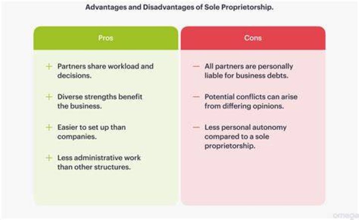 What are advantages and disadvantages of being a sole proprietor?