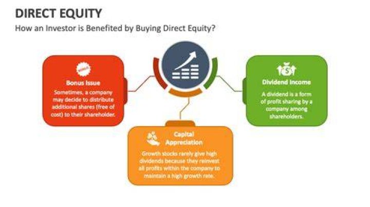 What are direct equity claims?