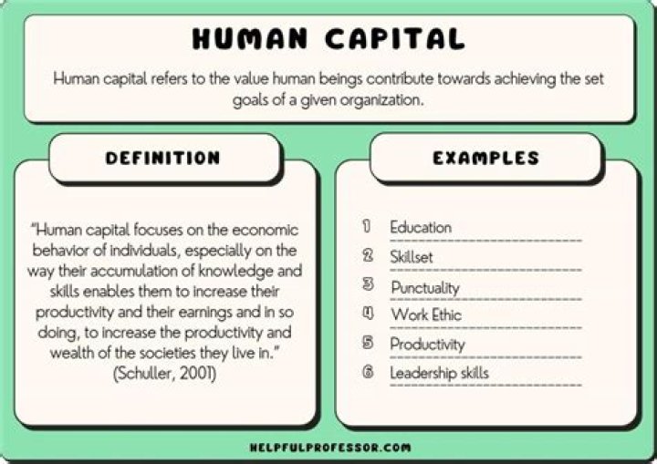 What are examples of human capital?