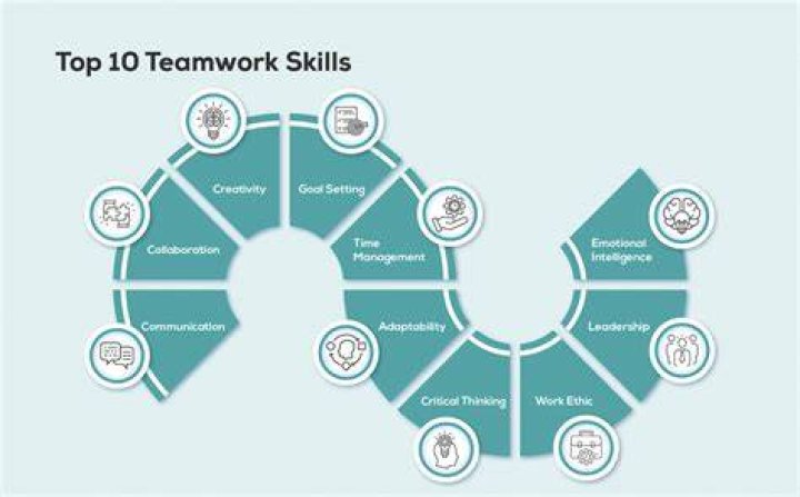 What are examples of organizations that use teamwork?