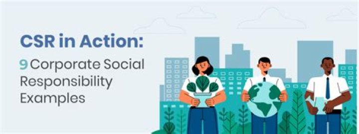 What are examples of social responsibility used by companies?